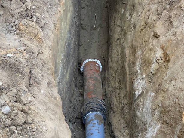 Best Professional water damage repair  in Meriden, CT