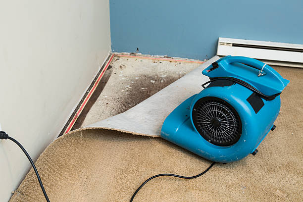 Trusted CT Water damage restoration Experts